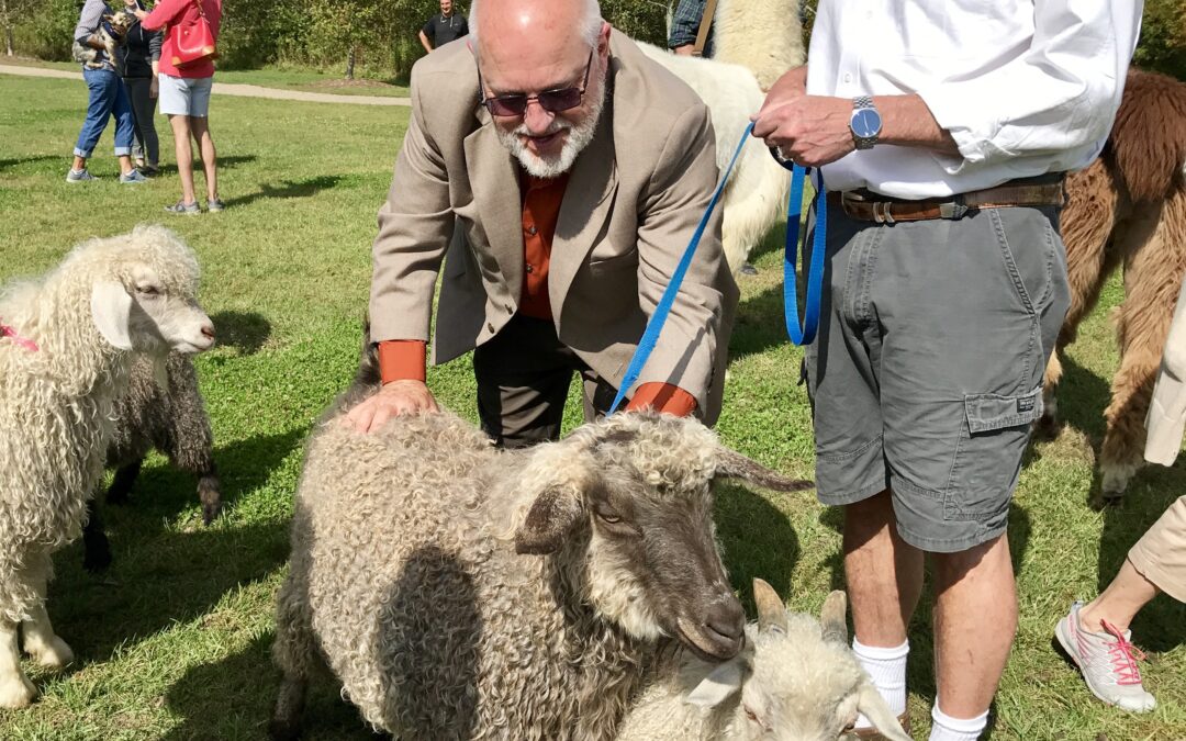 Blessing of the Animals